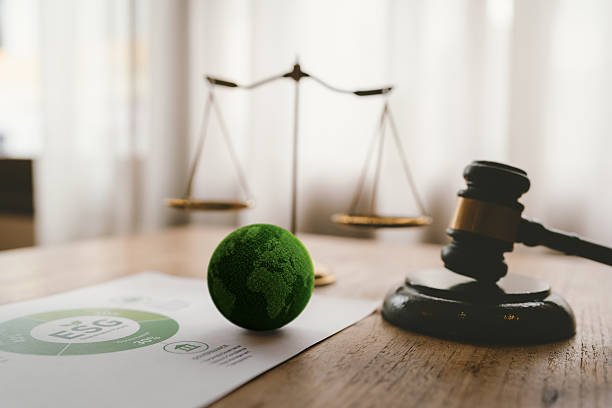 NGT legal consultation for businesses