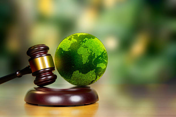 What To Do When You Receive an Environmental Violation Notice